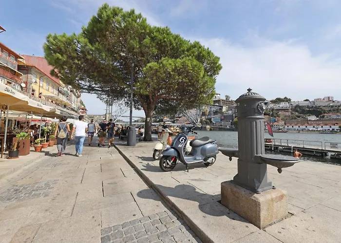 Flh Portuguese Lejlighed *